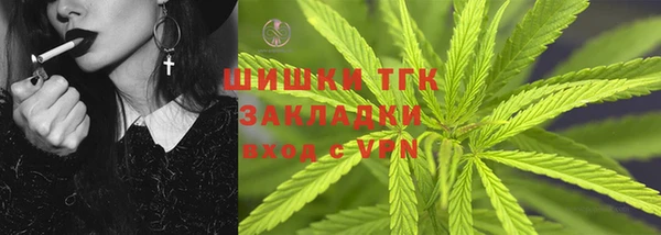 spice Алзамай