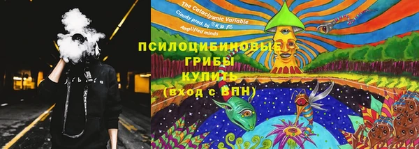 спайс Алексин