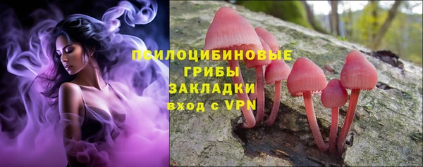 спайс Алексин