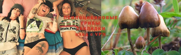 spice Алзамай