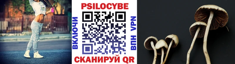 Псилоцибиновые грибы MAGIC MUSHROOMS  что такое наркотик  OMG сайт  Кимры 